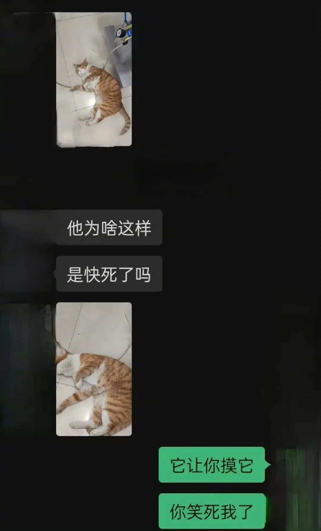 【爆笑】当爸爸要帮我模拟相亲时…？哈哈哈找不到对象的原因找到了（组图） - 42