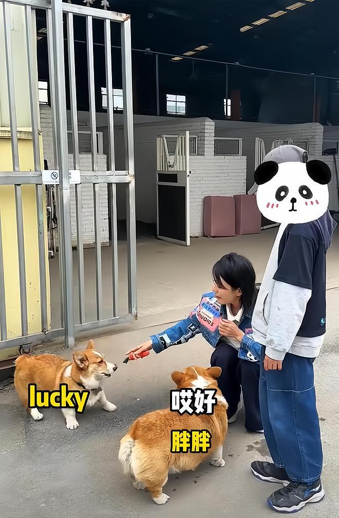 汪涵约周笔畅咖啡店叙旧,眼袋好大长了老年斑,两人坐街边像父女(组图) - 18