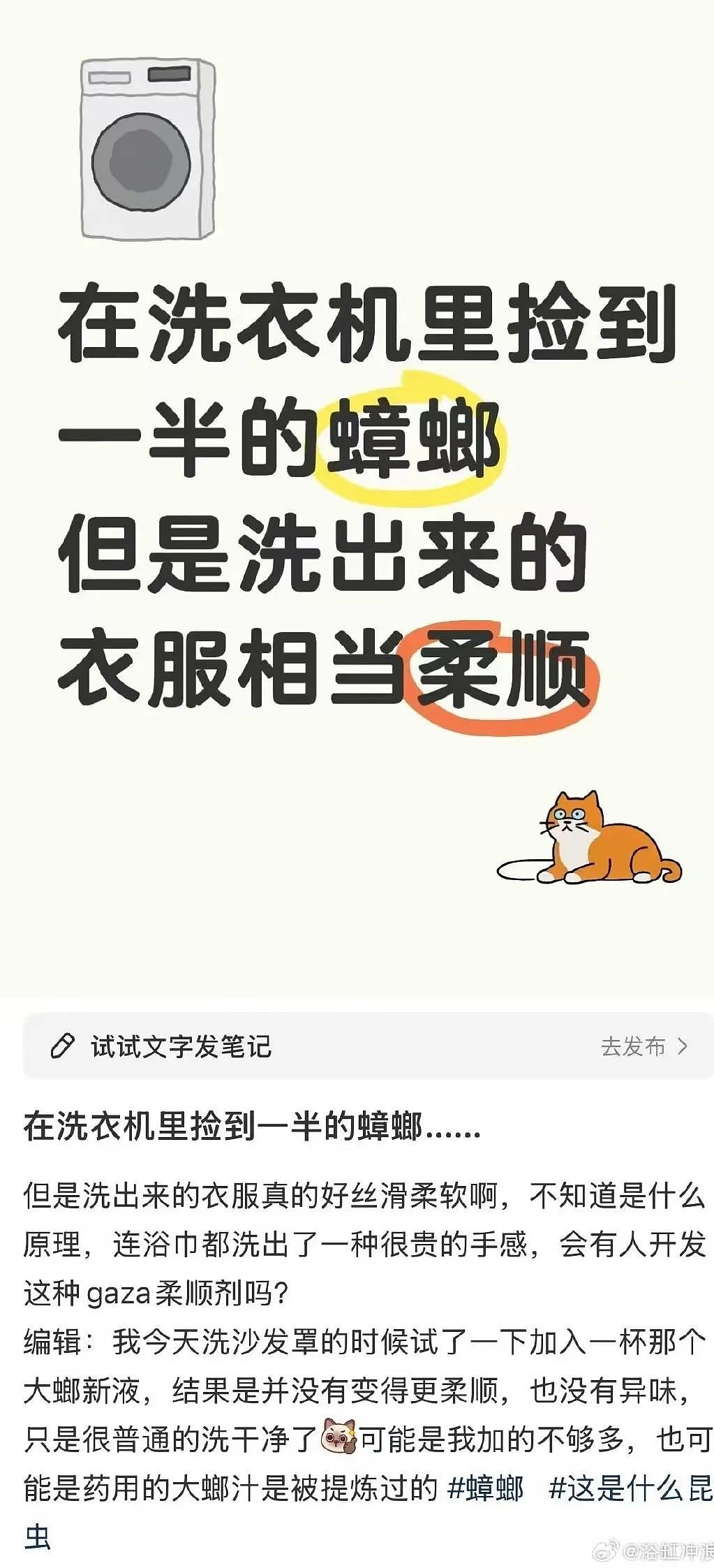 【爆笑】当爸爸要帮我模拟相亲时…？哈哈哈找不到对象的原因找到了（组图） - 39
