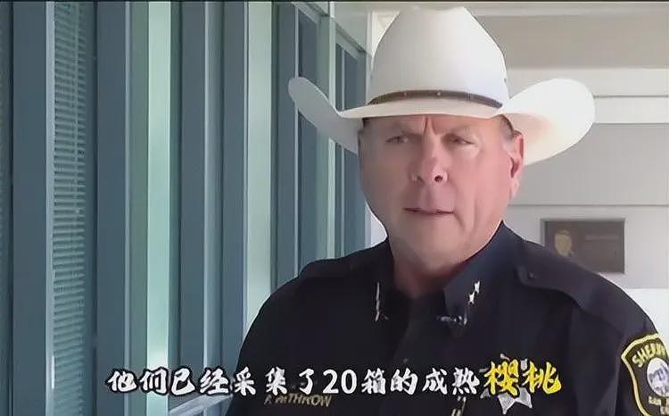 3名华人在美盗窃樱桃被捕!身份曝光,保释金高达百万,评论炸锅(组图) - 7