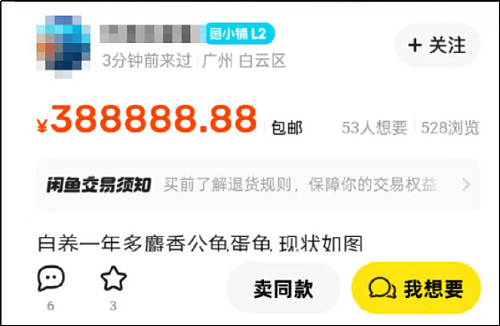 这只8888万的乌龟,像不像你被套牢的股票和房产(组图) - 9