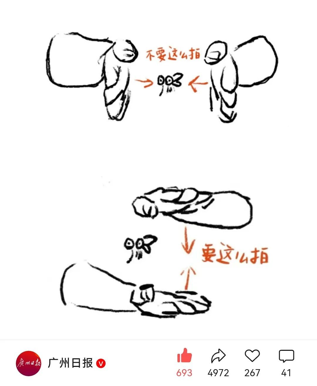 【宠物】小姐姐半夜12点托举猫屁股让猫打蚊子，结果…哈哈哈哈哈！网友：慈母多败咪（组图） - 21