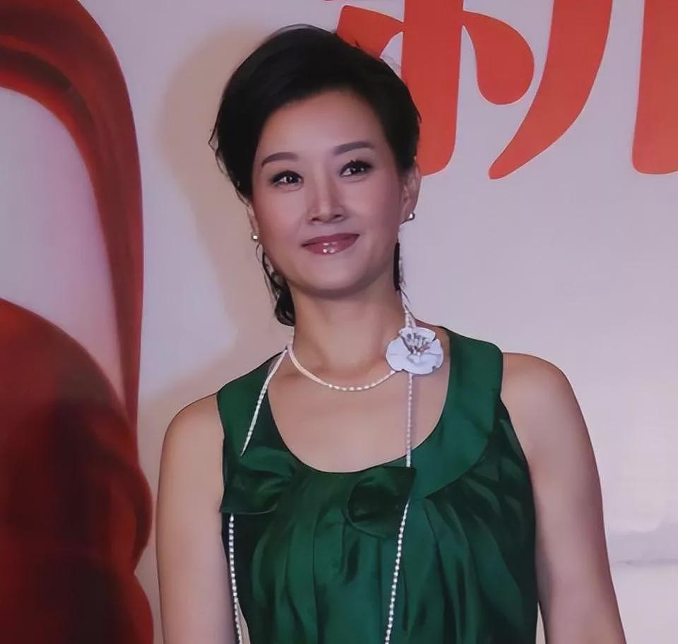 销声匿迹11年的“丁克”宋祖英，已成人生赢家（组图） - 5
