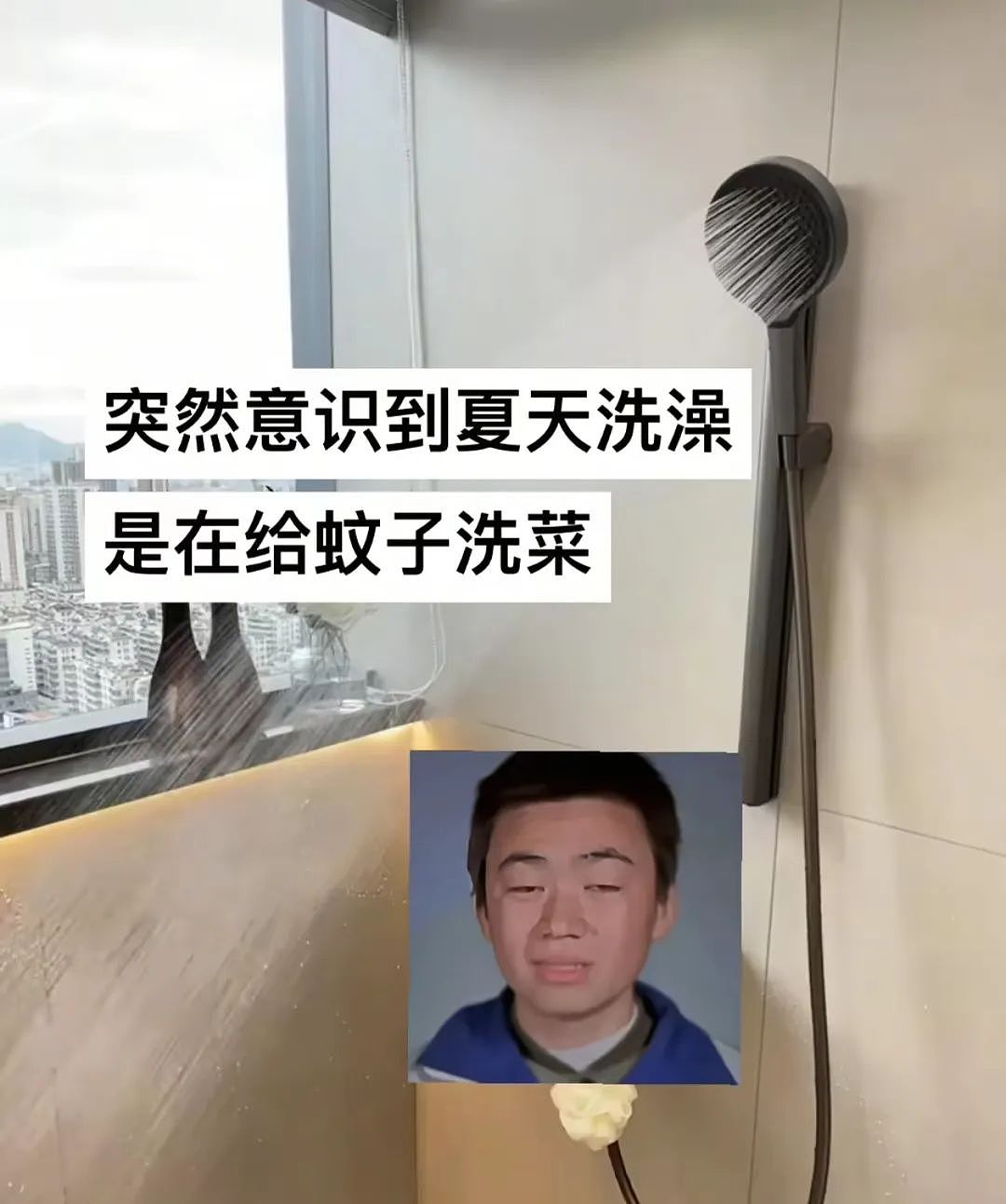 【宠物】小姐姐半夜12点托举猫屁股让猫打蚊子，结果…哈哈哈哈哈！网友：慈母多败咪（组图） - 10