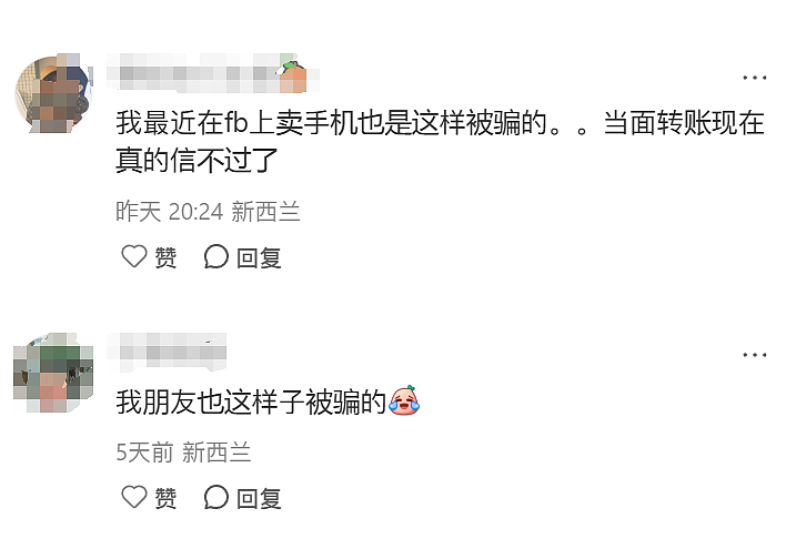 新西兰华人被坑：“亲眼看着他转账，却没拿到一分钱！”差点损失$2.7万，多人中招（组图） - 9