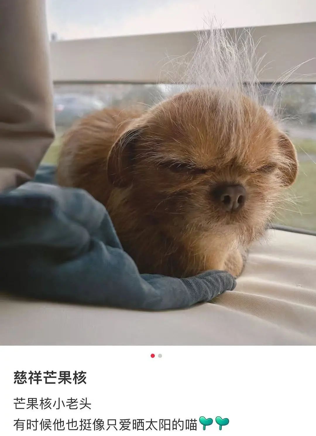 【爆笑】“两个月给女朋友花了1w算多吗…？”啊啊啊八毛一条的苦茶子也能穿吗（组图） - 47