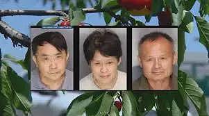 8名华人被拐至缅甸生死未卜,大温也出现类似骗局,这些关键词必须警惕(组图) - 2