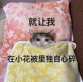 【爆笑】“两个月给女朋友花了1w算多吗…？”啊啊啊八毛一条的苦茶子也能穿吗（组图） - 101