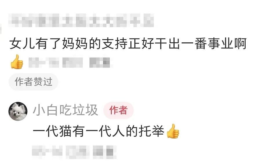 【宠物】小姐姐半夜12点托举猫屁股让猫打蚊子，结果…哈哈哈哈哈！网友：慈母多败咪（组图） - 4