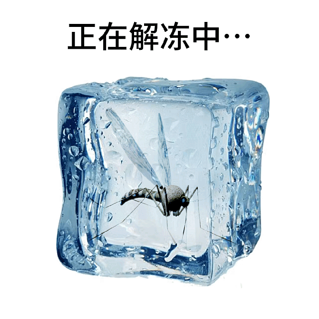 【宠物】小姐姐半夜12点托举猫屁股让猫打蚊子，结果…哈哈哈哈哈！网友：慈母多败咪（组图） - 20