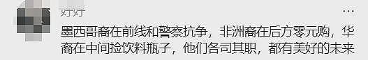 无视身旁“打”“砸”暴乱!华人大妈淡定捡废瓶、意外走红网络,获得无数好评(组图) - 4