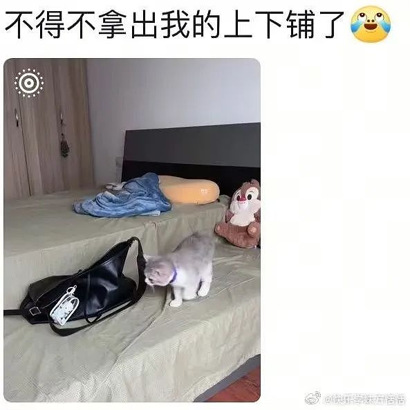 【爆笑】“两个月给女朋友花了1w算多吗…？”啊啊啊八毛一条的苦茶子也能穿吗（组图） - 97