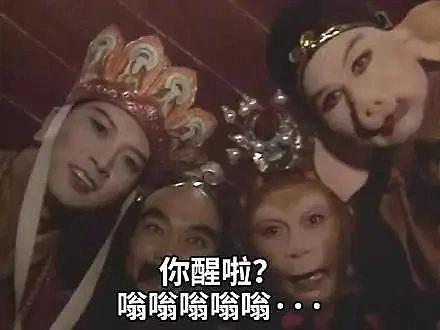 【宠物】小姐姐半夜12点托举猫屁股让猫打蚊子，结果…哈哈哈哈哈！网友：慈母多败咪（组图） - 9