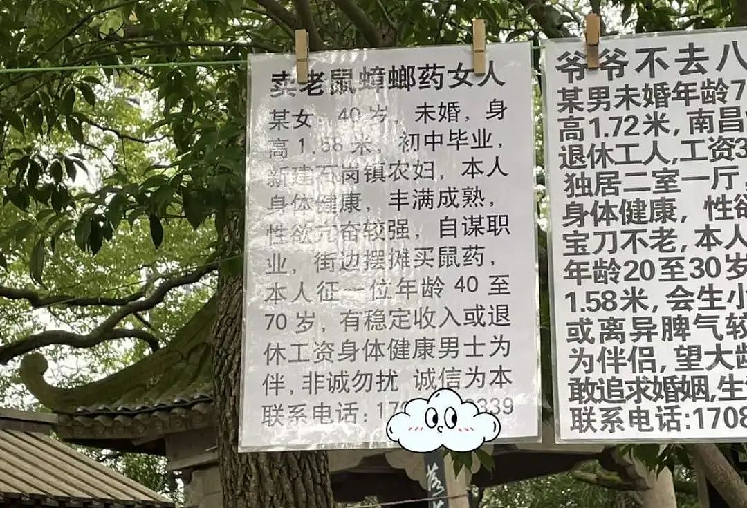 杭州相亲角的简历，到底有多禁忌？（组图） - 4