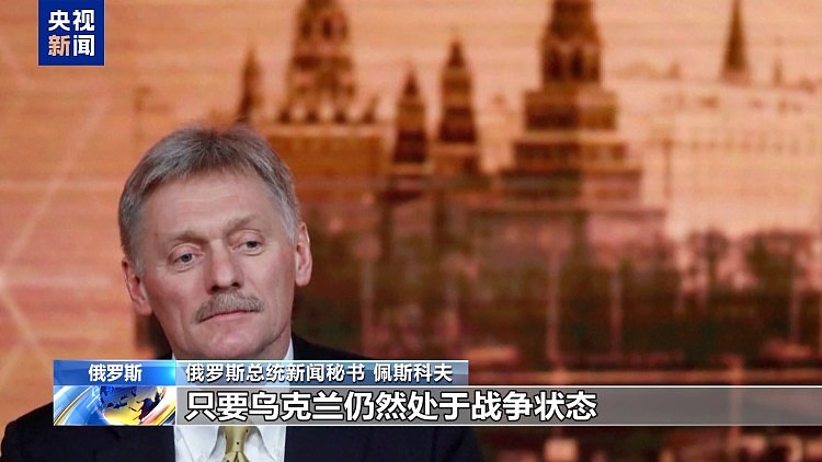 泽连斯基:西方希望乌下调征兵年龄下限至18岁(组图) - 3