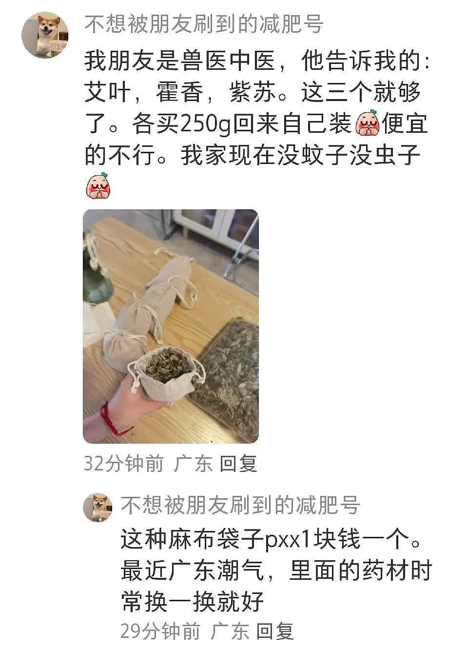 【宠物】小姐姐半夜12点托举猫屁股让猫打蚊子，结果…哈哈哈哈哈！网友：慈母多败咪（组图） - 23