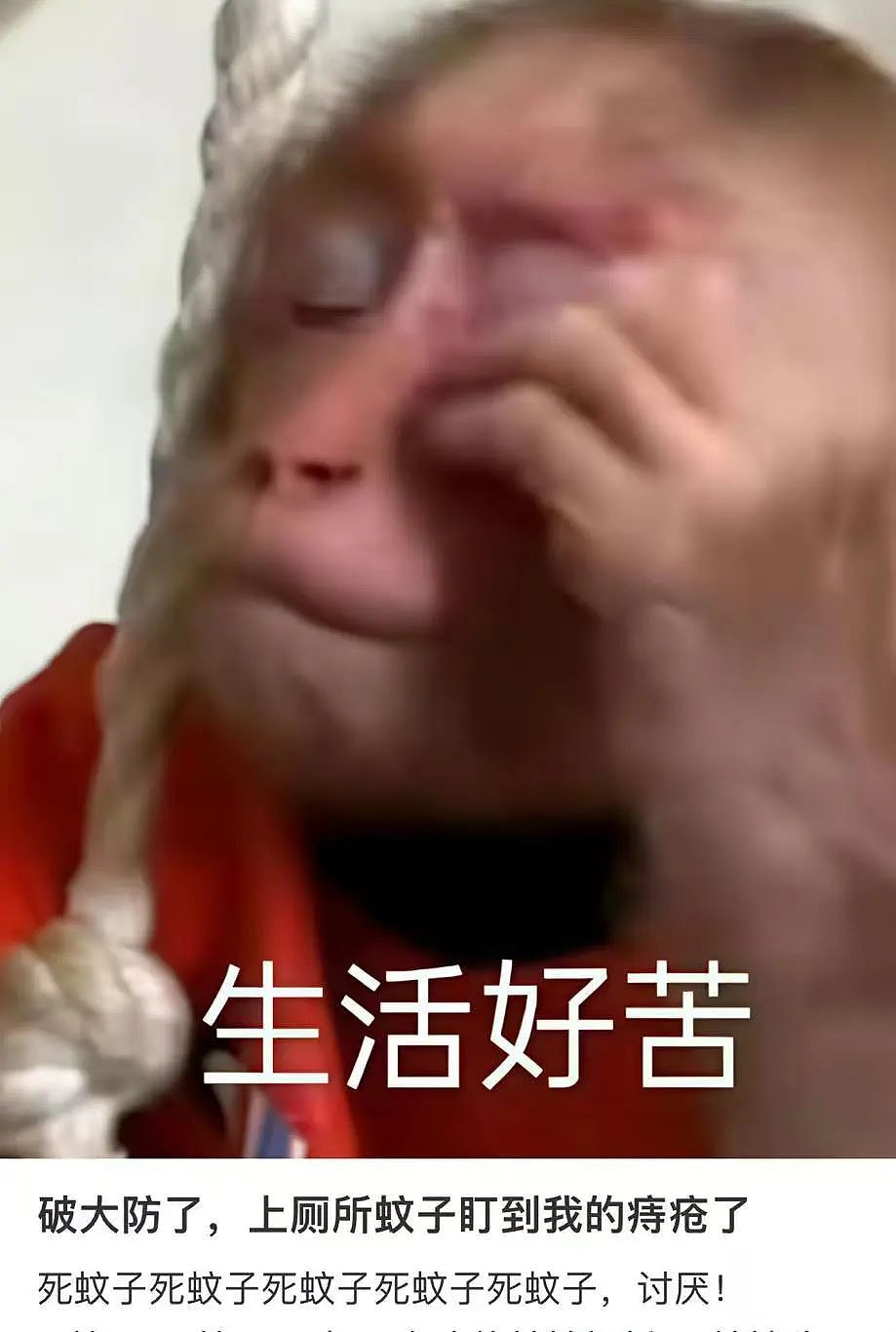 【爆笑】“两个月给女朋友花了1w算多吗…？”啊啊啊八毛一条的苦茶子也能穿吗（组图） - 38