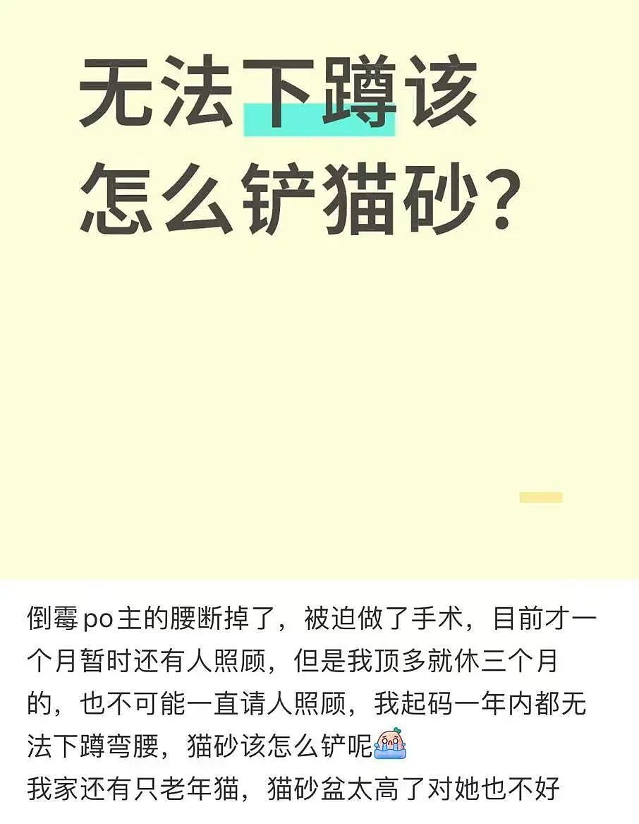 【爆笑】“两个月给女朋友花了1w算多吗…？”啊啊啊八毛一条的苦茶子也能穿吗（组图） - 74