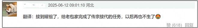 37岁包文婧封肚言论惹争议,物化女性追二胎男宝,生产时还过敏(组图) - 7