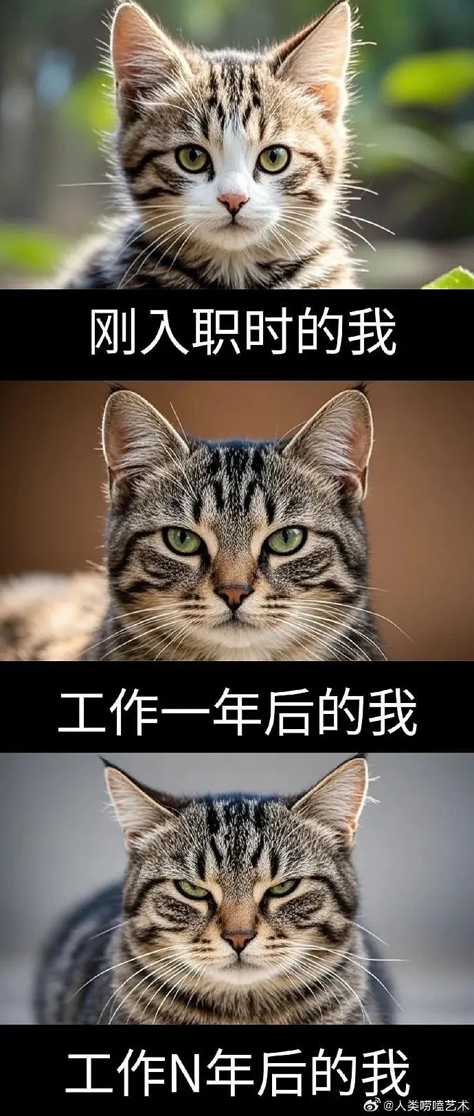 【爆笑】怀疑自己网恋五个月的女朋友是男的?网友夺笋:恭喜你开出了隐藏款(组图) - 43