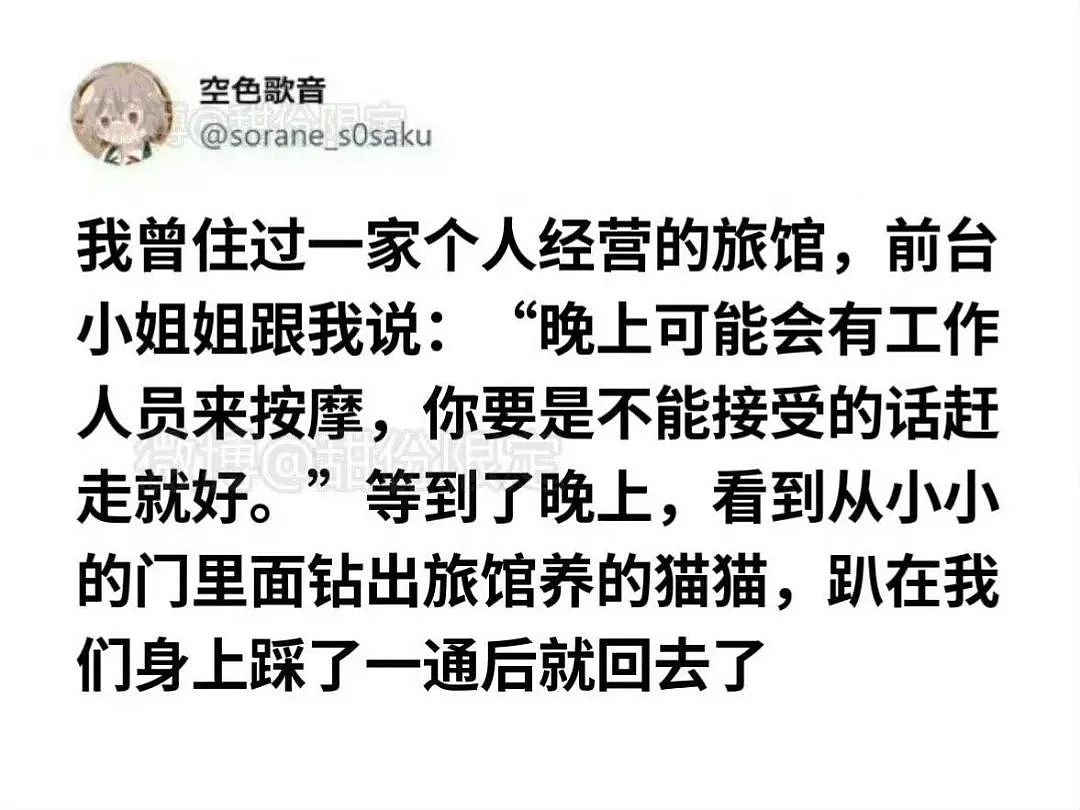 【爆笑】用小号试探前男友发现他疑似水仙…?网友:求一双没看过的眼睛(组图) - 64