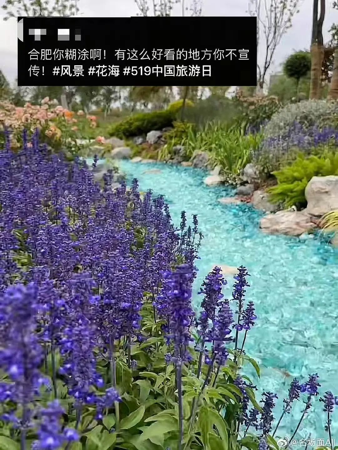 【爆笑】用小号试探前男友发现他疑似水仙…?网友:求一双没看过的眼睛(组图) - 50