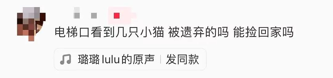 【爆笑】用小号试探前男友发现他疑似水仙…?网友:求一双没看过的眼睛(组图) - 18
