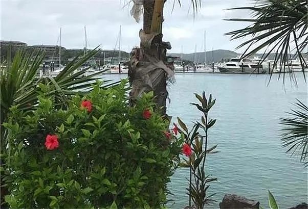 澳洲加大能源转型刺激力度  新州及联邦向家庭提供的太阳能电池补贴最高总额或超1.1万澳元 美墨据称即将达成“钢铁关税限免”协议 - 2