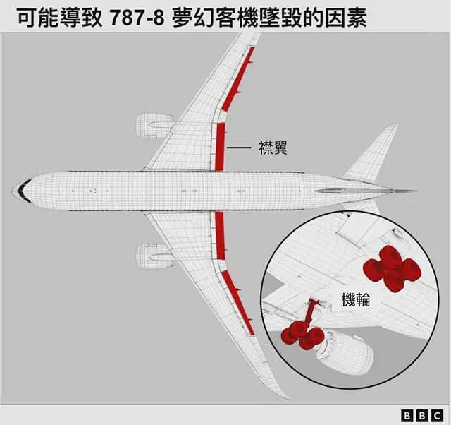 鸟击、襟翼故障或双引擎失效？印航客机30秒内坠毁的可能原因（组图） - 2