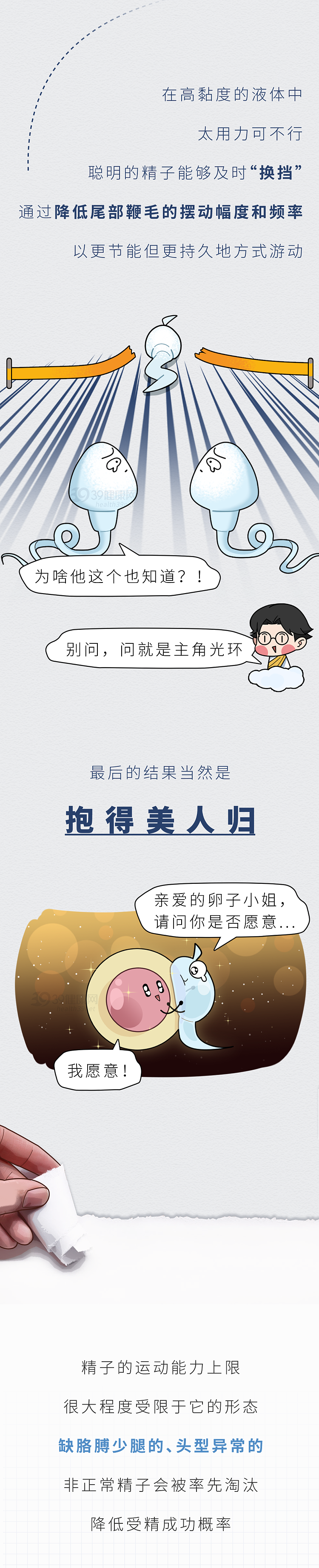 【两性】精子进入女性体内的24小时，都发生了什么（组图） - 7