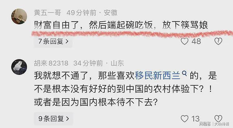 3000万资产移民新西兰走了？发长文的阿里离职员工，被网友怒斥…（组图） - 3