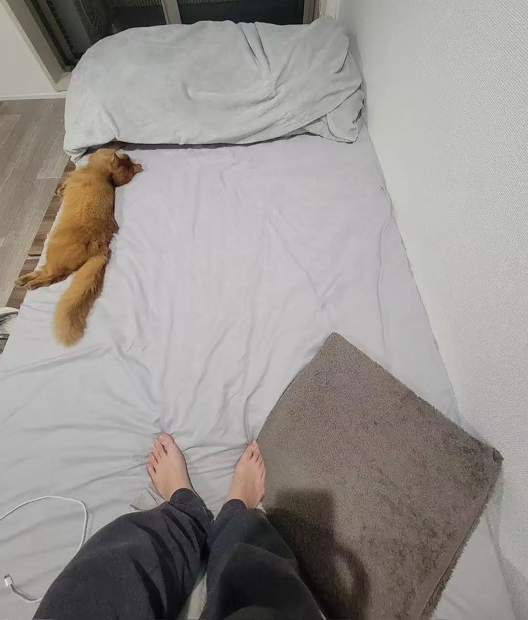 【爆笑】用小号试探前男友发现他疑似水仙…?网友:求一双没看过的眼睛(组图) - 40
