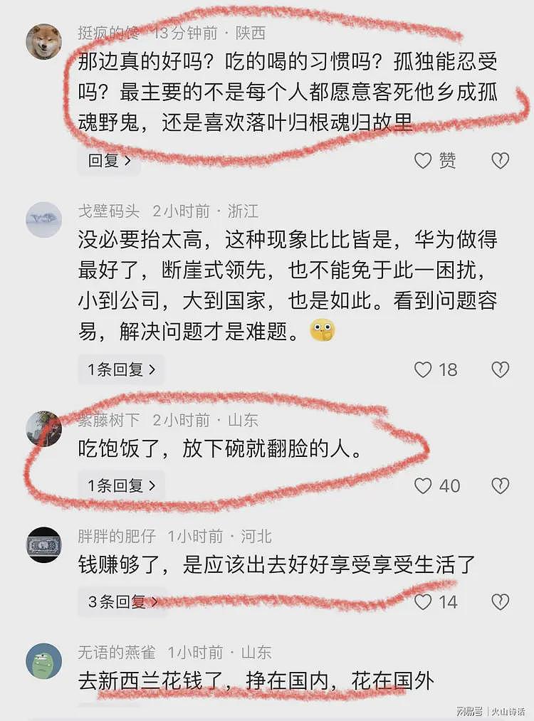 3000万资产移民新西兰走了？发长文的阿里离职员工，被网友怒斥…（组图） - 5