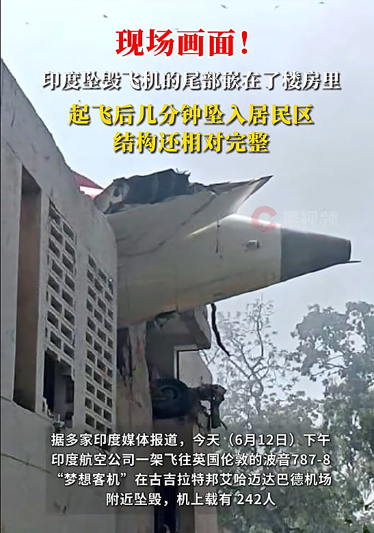 惨烈！787客机印度坠毁…其实波音已经快被印度人“占领了”（组图） - 8
