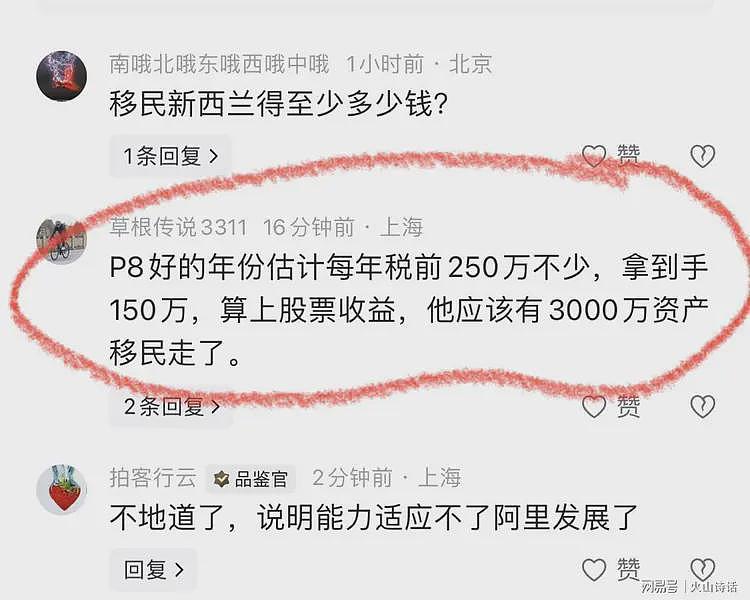 3000万资产移民新西兰走了？发长文的阿里离职员工，被网友怒斥…（组图） - 6