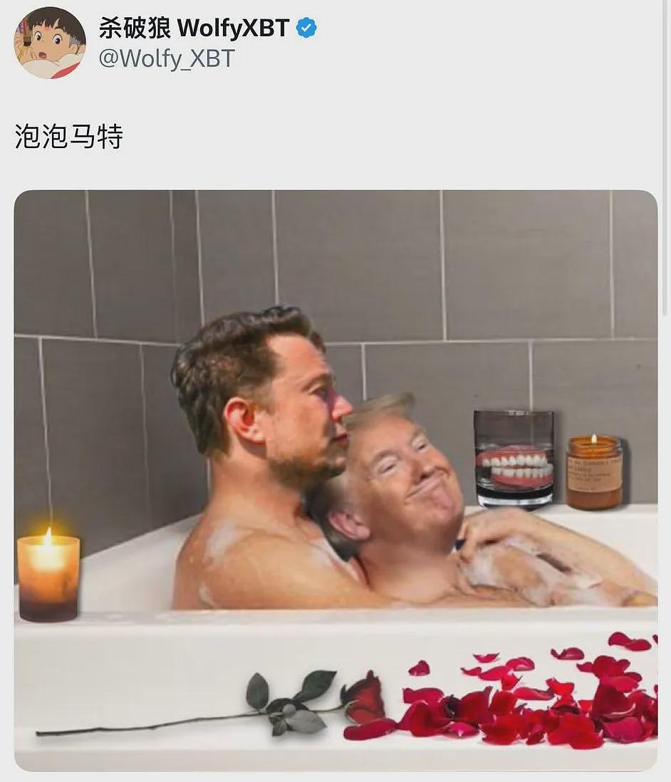 “色图”惹怒马斯克,华语大V遭遇团灭(组图) - 3