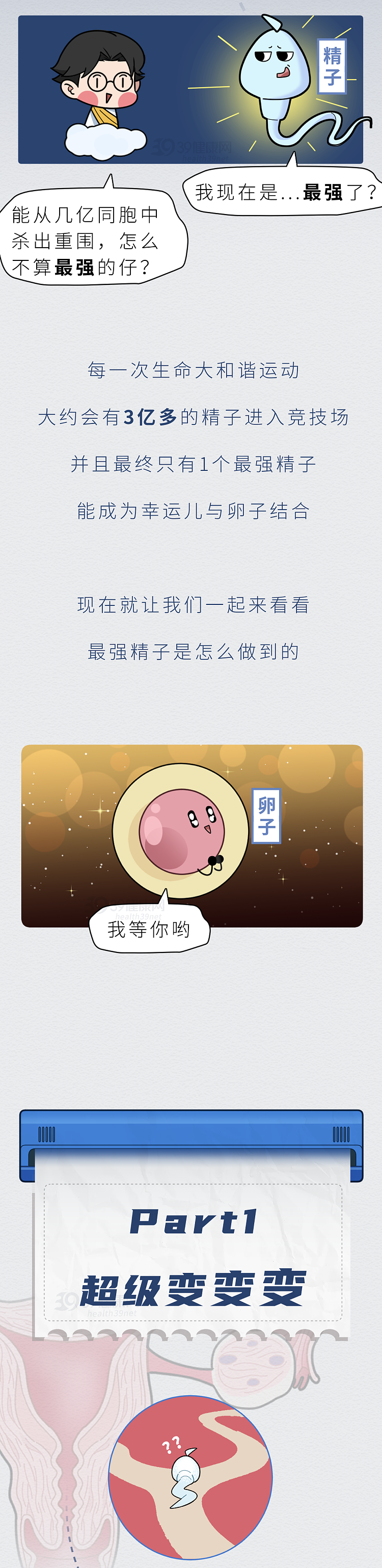 【两性】精子进入女性体内的24小时，都发生了什么（组图） - 2