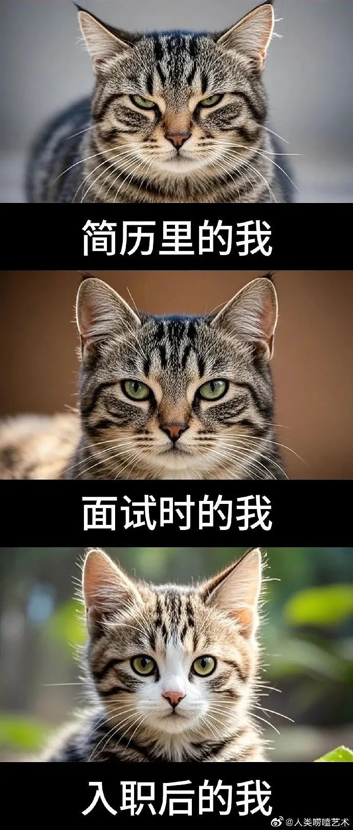 【爆笑】怀疑自己网恋五个月的女朋友是男的?网友夺笋:恭喜你开出了隐藏款(组图) - 42