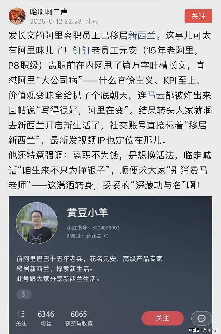 3000万资产移民新西兰走了？发长文的阿里离职员工，被网友怒斥…（组图） - 1