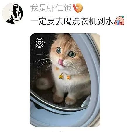 【爆笑】“面试完 vs 上完班两个月后......”哈哈哈哈哈哈哈哈哈真的无欲无求了(组图) - 52