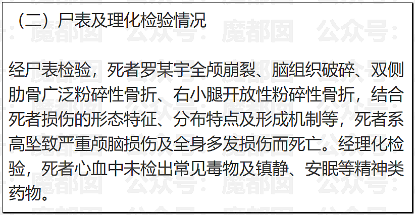 真相大白？官方通报“罗帅宇”坠亡详情，1281页材料曝光（组图） - 34