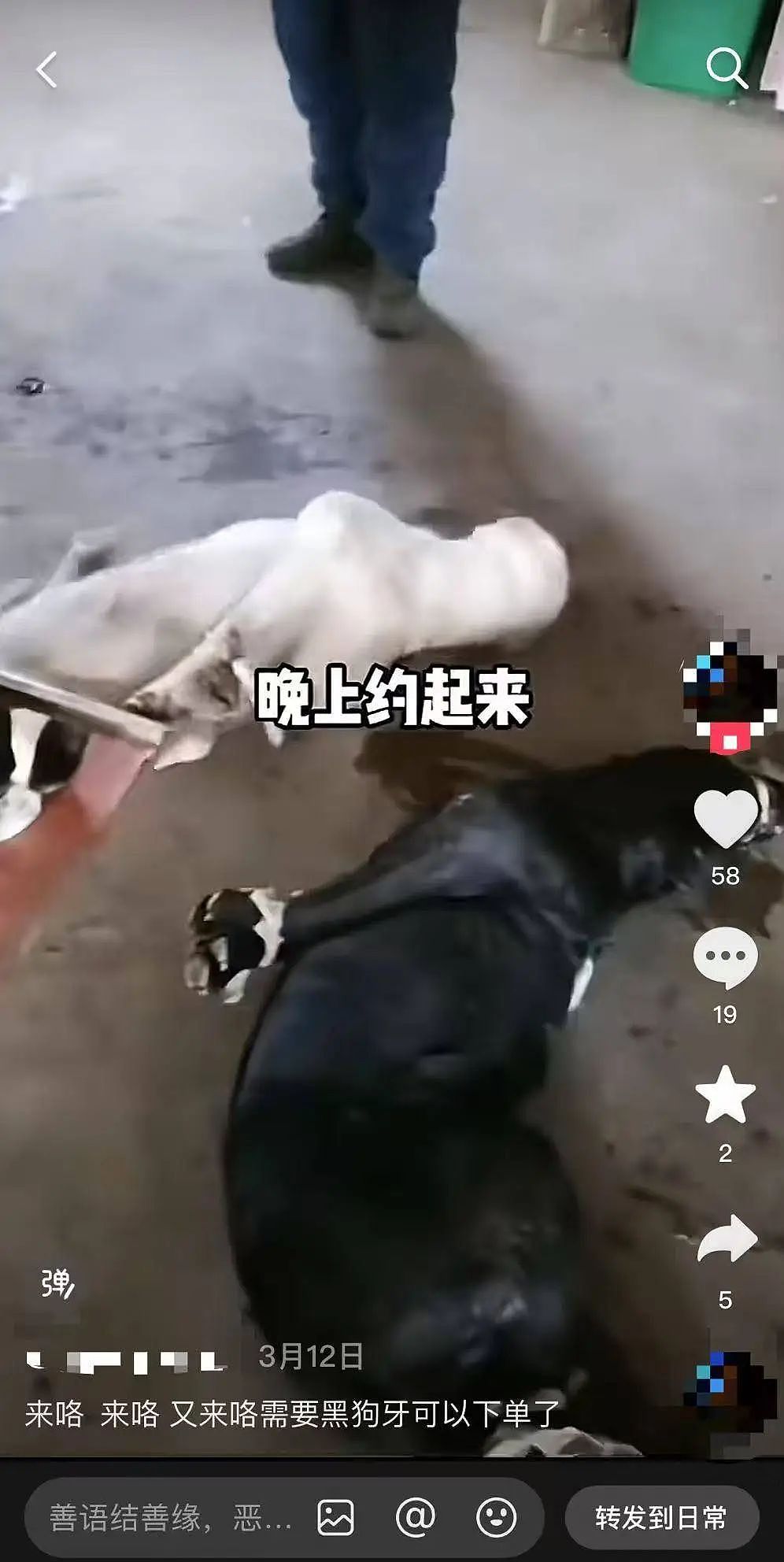 黑狗牙齿能“辟邪”？有人下单，商家就动手！“生拆”视频太残忍，平台介入（组图） - 1