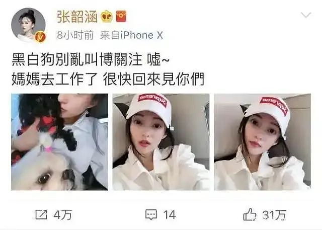 范玮琪当众痛哭，全网却爆笑：恭喜张韶涵大仇得报（组图） - 22