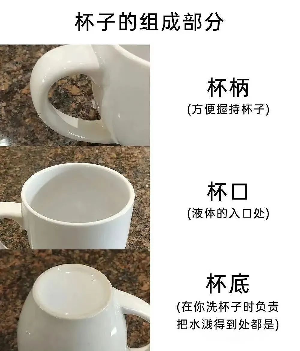 【爆笑】“面试完 vs 上完班两个月后......”哈哈哈哈哈哈哈哈哈真的无欲无求了(组图) - 74