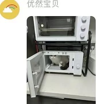 【爆笑】“面试完 vs 上完班两个月后......”哈哈哈哈哈哈哈哈哈真的无欲无求了(组图) - 50