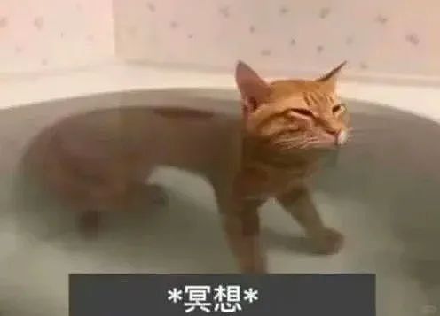【爆笑】“网上卖二手被大砍价后....”哈哈哈哈有点好嗑是怎么回事（组图） - 12