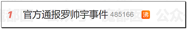 真相大白？官方通报“罗帅宇”坠亡详情，1281页材料曝光（组图） - 28