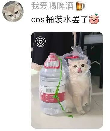 【爆笑】“面试完 vs 上完班两个月后......”哈哈哈哈哈哈哈哈哈真的无欲无求了(组图) - 51