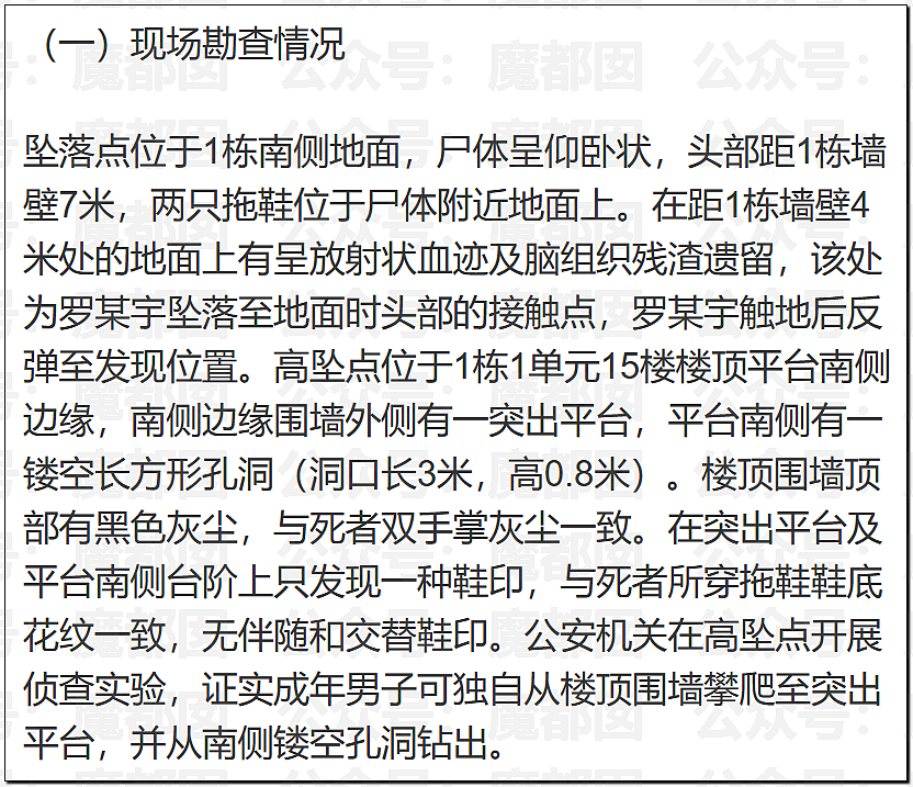 真相大白？官方通报“罗帅宇”坠亡详情，1281页材料曝光（组图） - 32