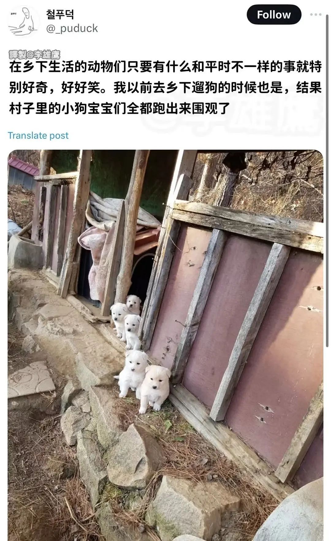 【爆笑】“面试完 vs 上完班两个月后......”哈哈哈哈哈哈哈哈哈真的无欲无求了(组图) - 16